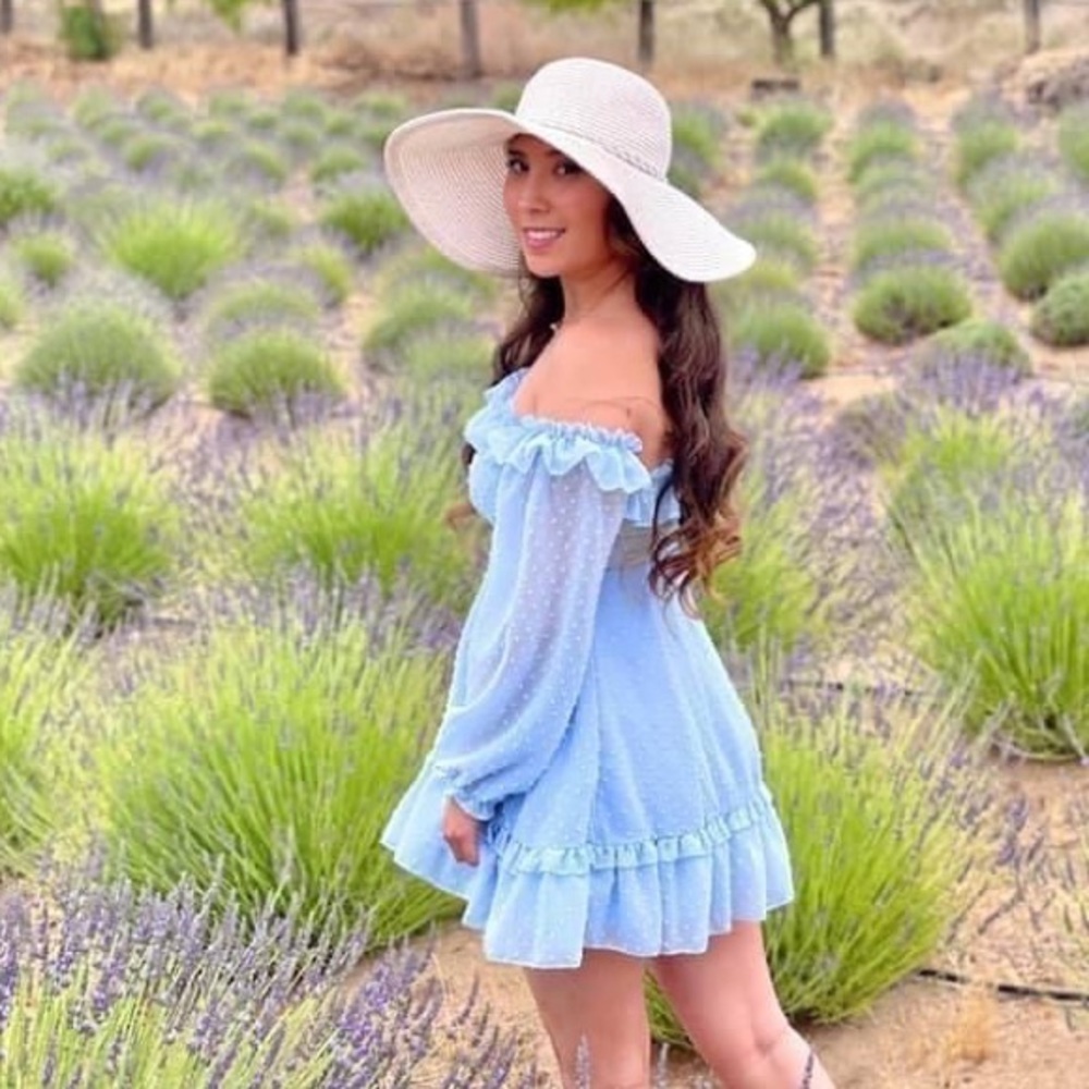 Double Crazy Ruffle Trim Swiss Dot Bardot Dress